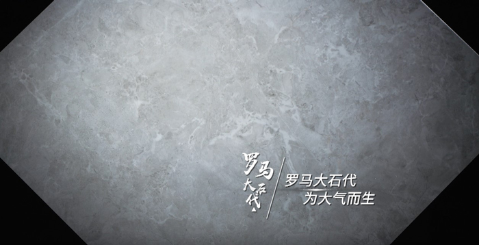 20190305114946781